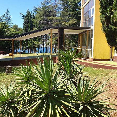 Youth Hostel Pinesta Novigrad  Bagian luar foto