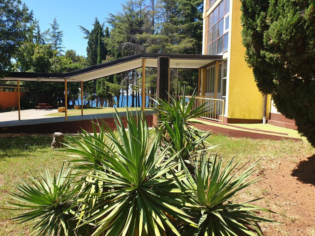 Youth Hostel Pinesta Novigrad  Bagian luar foto