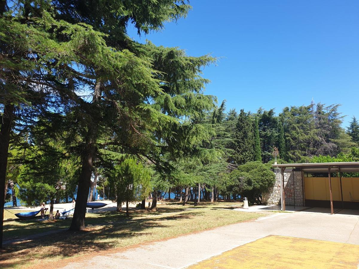 Youth Hostel Pinesta Novigrad  Bagian luar foto